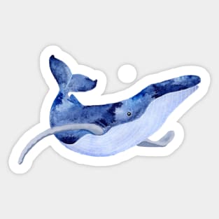 WHALE - SALT WATERCOLOR WHALE Sticker